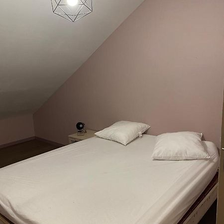 Appartement 14 Couchages Vallee Du Gresivaudan La Buissiere  Kültér fotó