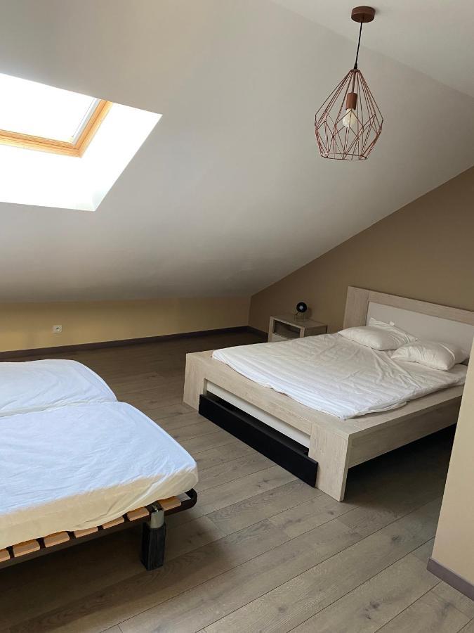 Appartement 14 Couchages Vallee Du Gresivaudan La Buissiere  Kültér fotó