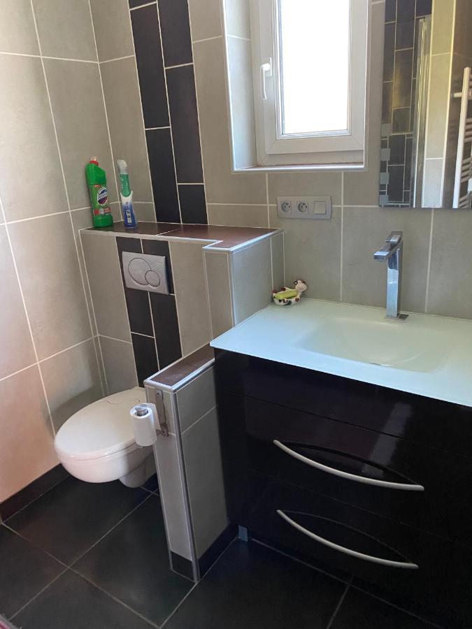 Appartement 14 Couchages Vallee Du Gresivaudan La Buissiere  Kültér fotó